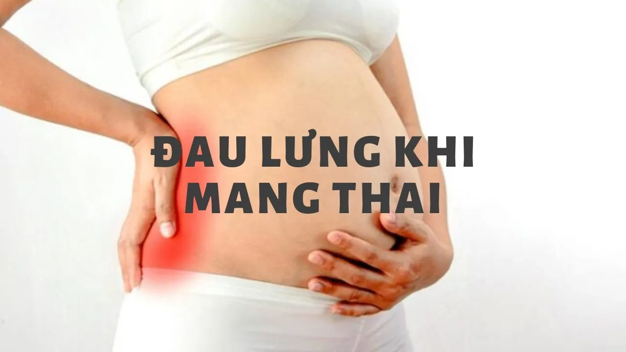 Đau Bụng và Đau Lưng Khi Mang Thai Tháng Đầu: Nguyên Nhân & Cách Giảm Nhẹ