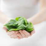 Mang Thai 3 Tháng Đầu Nên Ăn Gì Để Mẹ Khỏe, Bé Yêu Phát Triển?