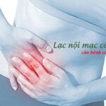 Lạc Nội Mạc Tử Cung Có Mang Thai Được Không: Giải Đáp Từ Chuyên Gia